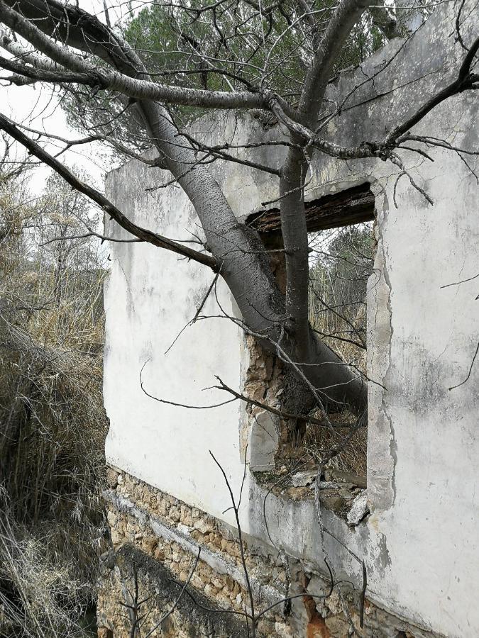 Casa Rural Rio Cabriel Villamalea Buitenkant foto